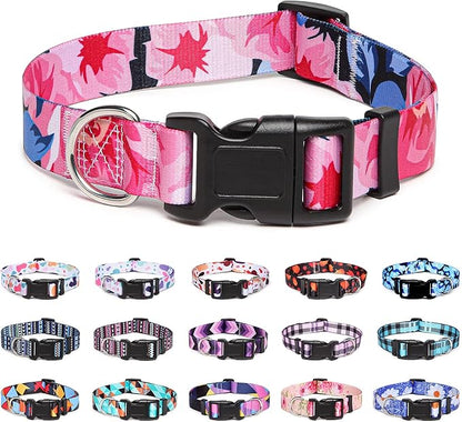 Adjustable Dog Collar with Patterns