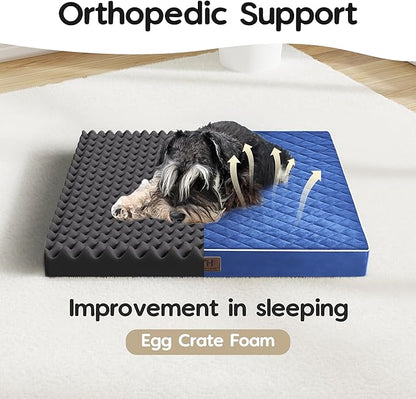 Orthopedic Dog Beds for Small Dogs with Removable Washable Cover 22 inch,Navy