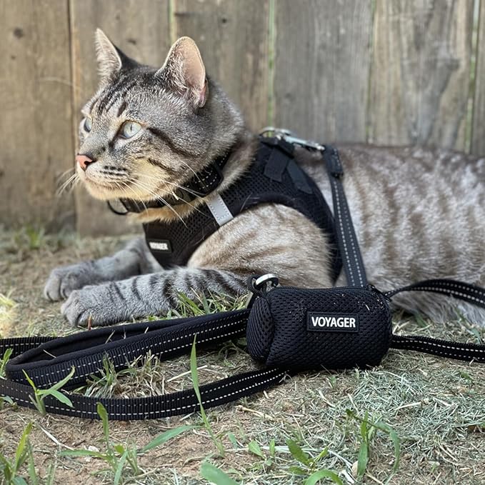 Voyager Step-in Air Dog Harness - All Weather Mesh Step in Vest Harness for Small and Medium Dogs and Cats by Best Pet Supplies - Harness (Black), L (Chest: 18-20.5")