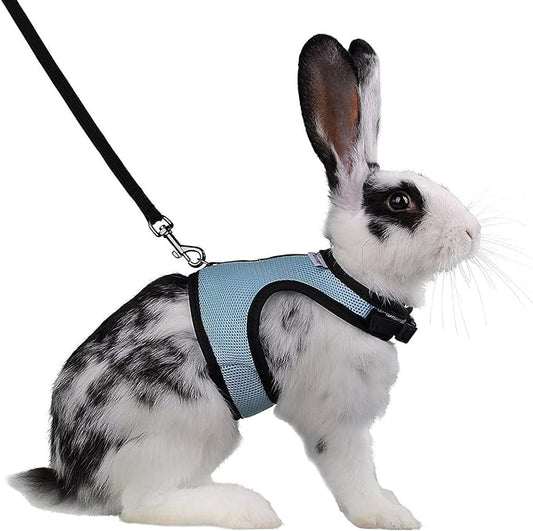 Niteangel Adjustable Soft Harness with Elastic Leash for Rabbits (XL, Blue)