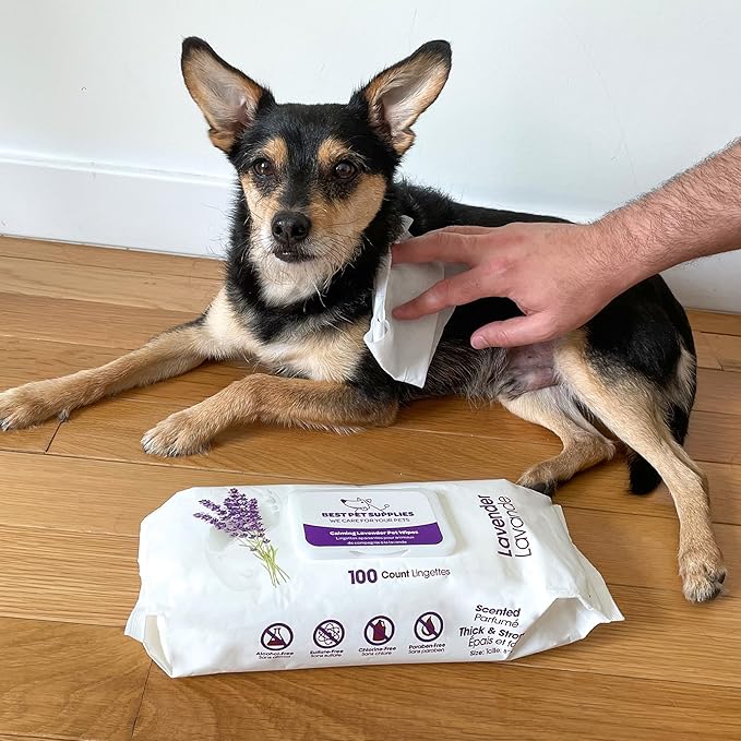 Best Pet Supplies Dog Wipes 400 Pack,