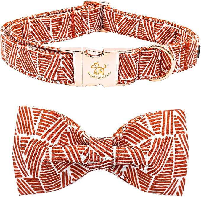 Elegant little tail Fall Dog Collar