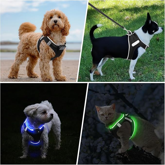 PcEoTllar Light Up Dog Harness, LED Dog Harness for Puppy Small Medium Dogs, Rechargeable No Pull Reflective Dog Harness, Flashing Lighted Dog Harness for Night Walking (Blue,s)