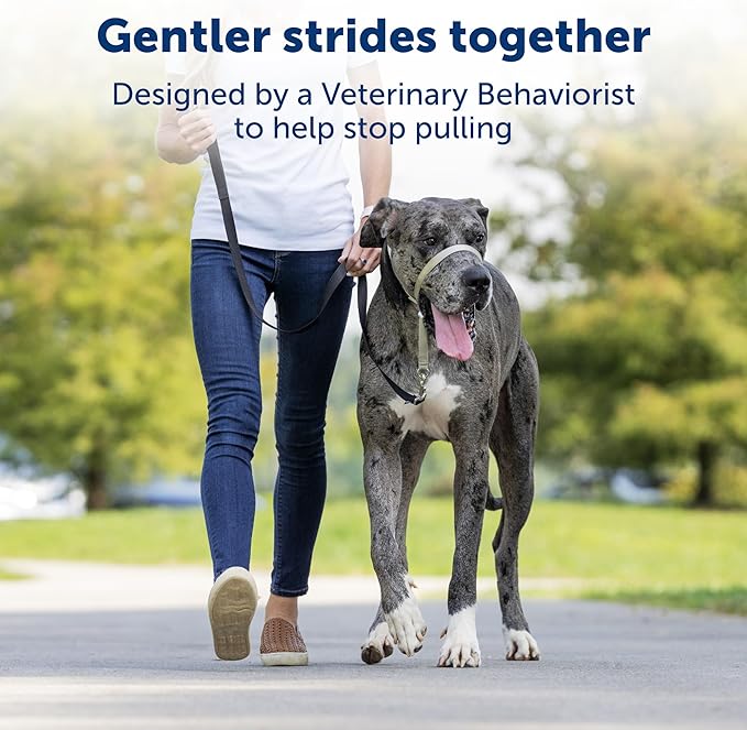 PetSafe Gentle Leader No-Pull Dog Headcollar