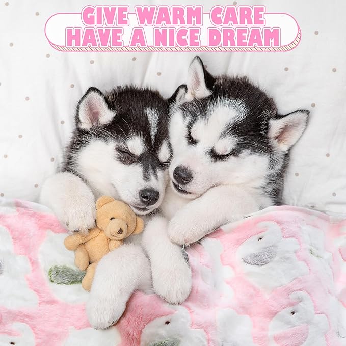 Chumia 18 Pcs Fleece Pet Blanket Soft Warm (30 x 20 Inch)