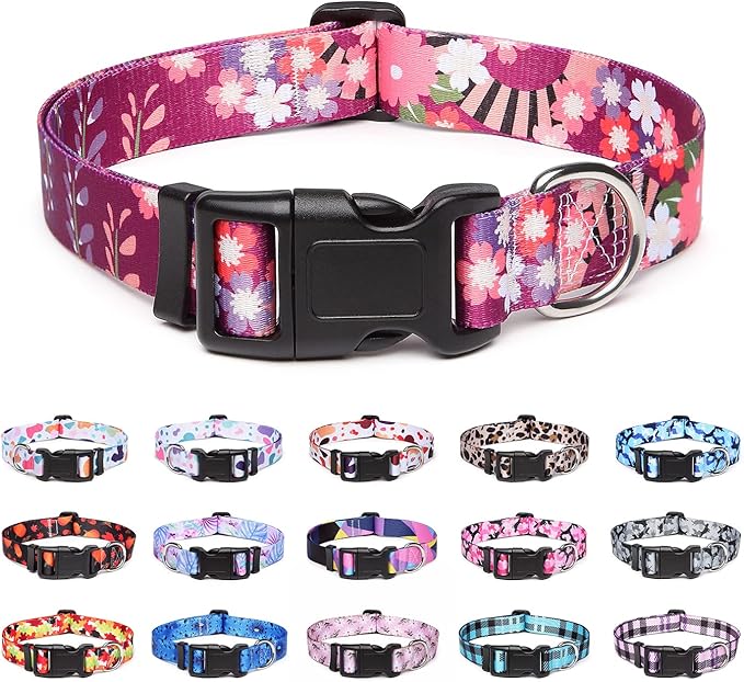 Adjustable Dog Collar with Patterns