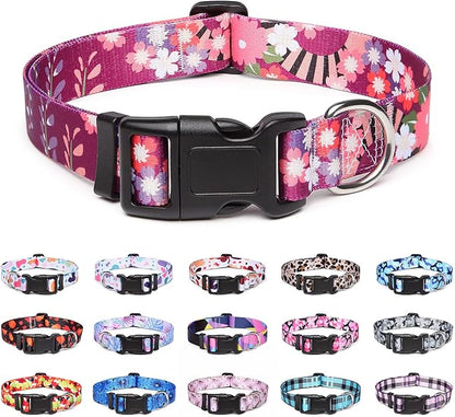 Adjustable Dog Collar with Patterns