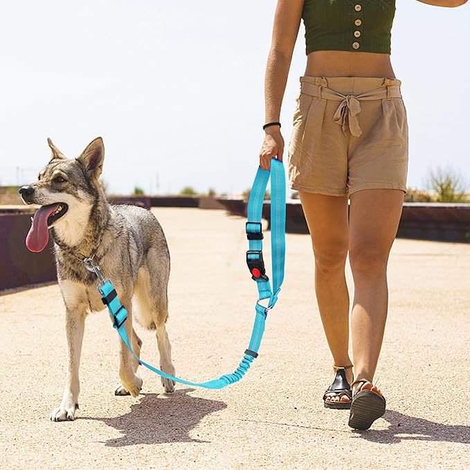 YAODHAOD Dog Seat Belts