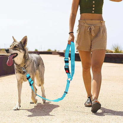 YAODHAOD Dog Seat Belts