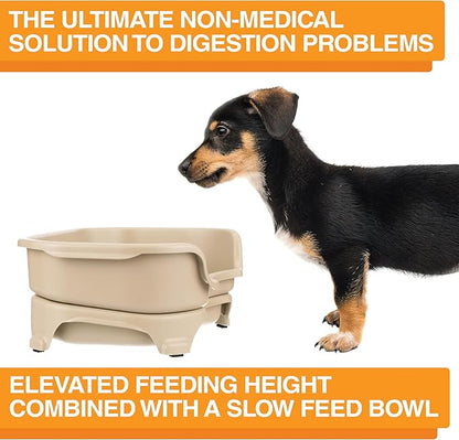 Neater Feeder - Express Model w/Slow Feed Bowl - Mess-Proof Dog Bowls (Small, Almond) Made in USA – Elevated, No Spill, Non-Tip, Non-Slip, Raised Stainless Steel Food/Water Pet Bowls Aid Digestion