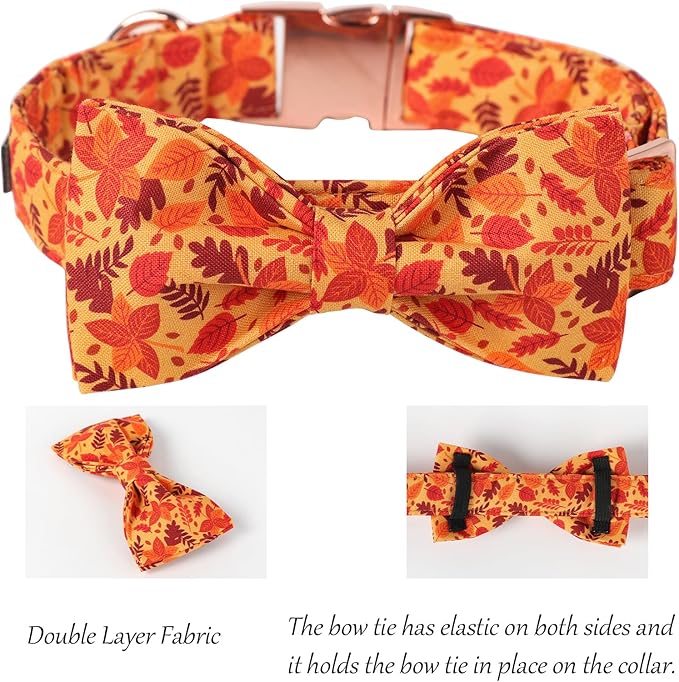 Lionet Paws Dog Collar with Bowtie 7-11in