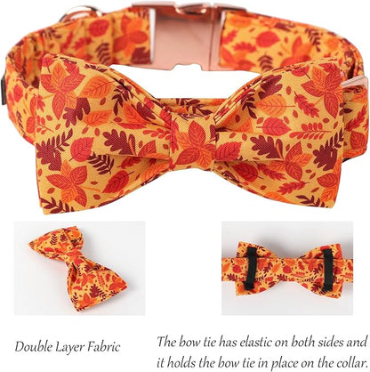 Lionet Paws Dog Collar with Bowtie 7-11in