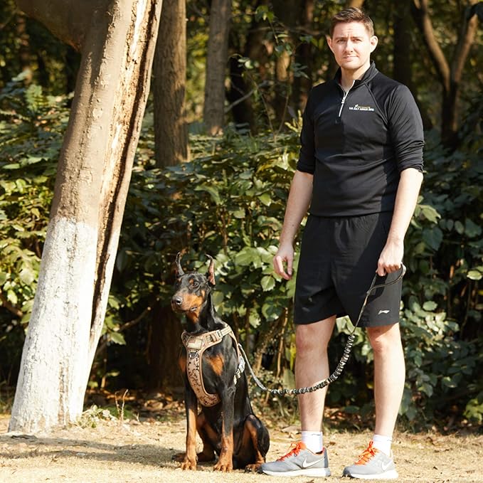 BUMBIN Tactical Dog Harness for Small Dogs No Pull