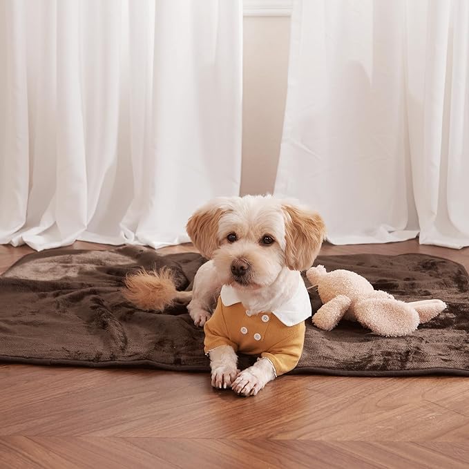 NICETOWN Waterproof Dog Blanket 24" × 32", Brown