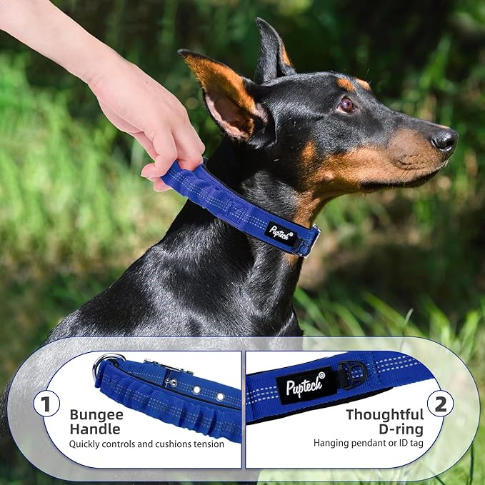 PUPTECK Heavy Duty Dog Collar with Handle Bungee for Small Medium Large Dogs