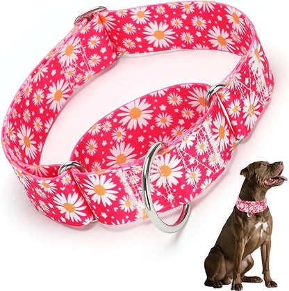 Martingale Collar 1.5 Inches Wide Girl Dog Collar