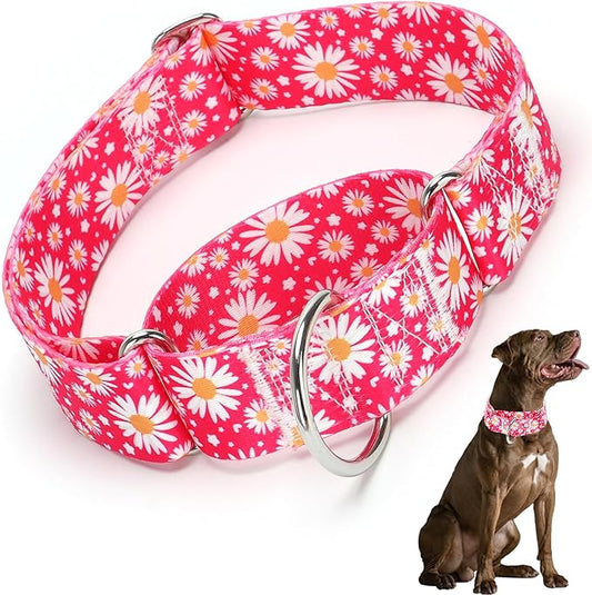 Martingale Collar 1.5 Inches Wide Girl Dog Collar