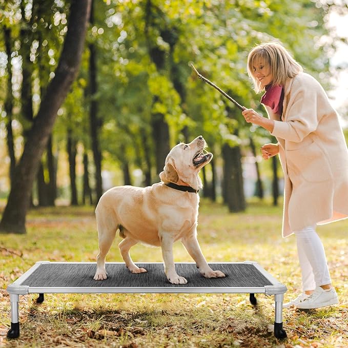 Veehoo Chew Proof Elevated Dog Bed