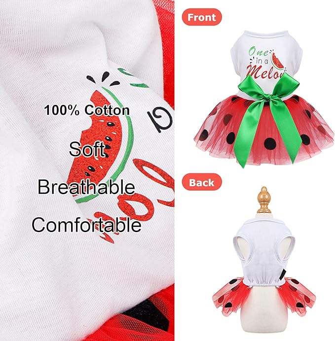 Small Dog Dress for Girl Watermelon Polka Dots Mesh Dress Dog Outfit