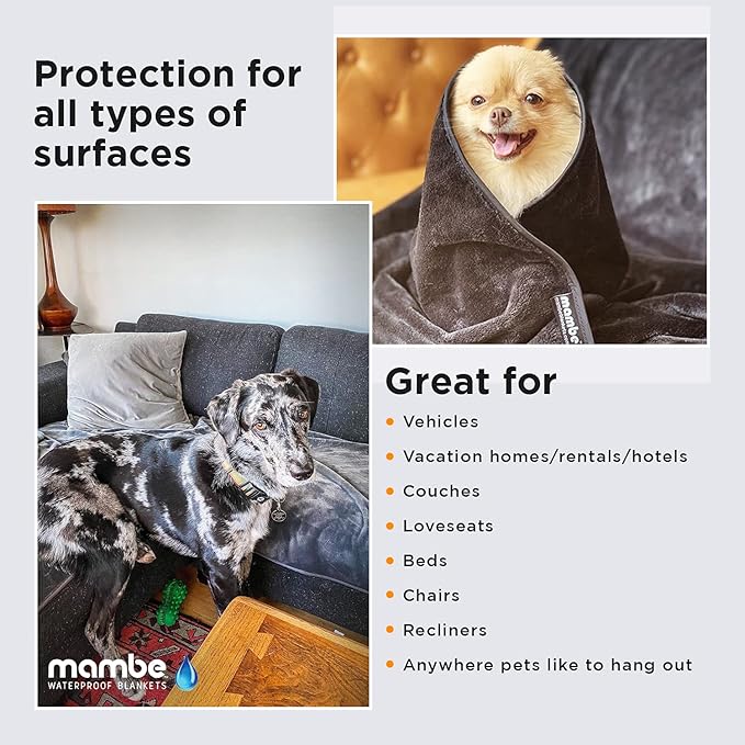 Mambe Non-Slip Pet Blanket Small, Charcoal and Silver - Soft and Silky Waterproof Throw - Machine Washable Fleece - for Protecting Furniture from Stains - for Dog and Pet Fur