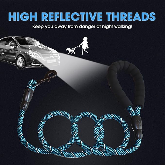 BAAPET 2/4/5/6 FT Dog Leash with Comfortable Padded Handle and Highly Reflective Threads for Small Medium and Large Dogs (5FT-1/2''