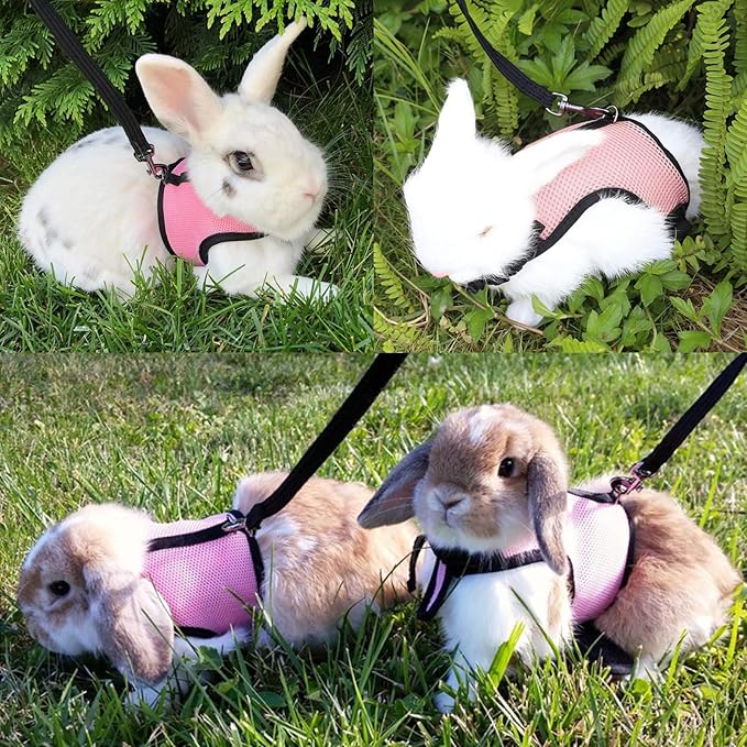 Small Pet Carrier Backpack Rabbit Carrier with Harness Vest Stretchy Elastic Leash Large Breathable Pet Carrier Airline Approved for Bunny Guinea Pig Ferret Hedgehog Kitten Travel Walking