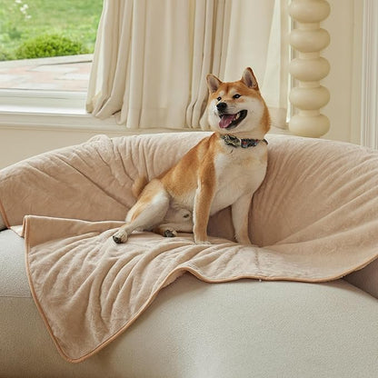 DaysU Waterproof Dog Blanket for Small Dogs 50"x60" Light