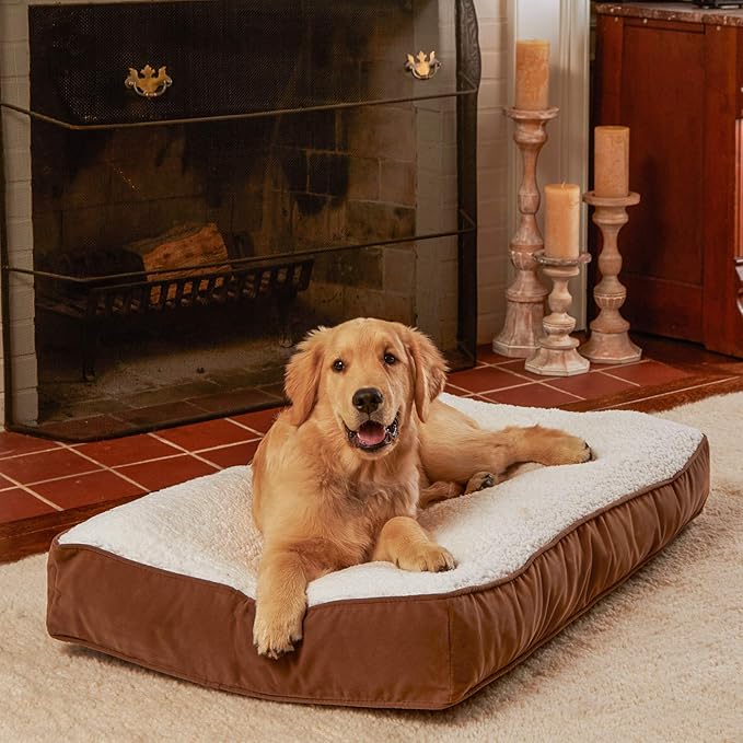 South Pine Porch Buddy Rectangle Pillow Style Dog Bed (24" x 36")