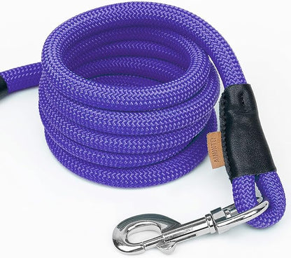Dog Leash ((1/2") - 6FT, Purple)