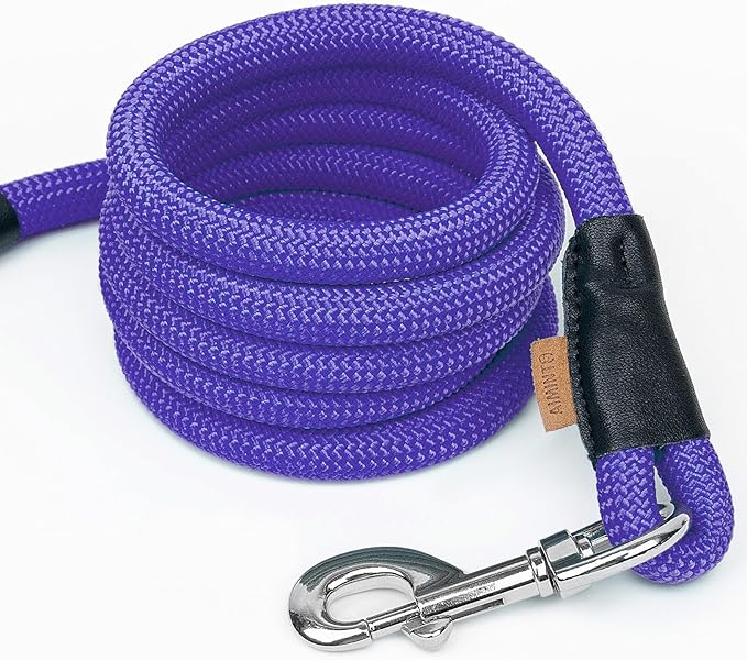 Dog Leash ((1/3") - 6FT, Purple)