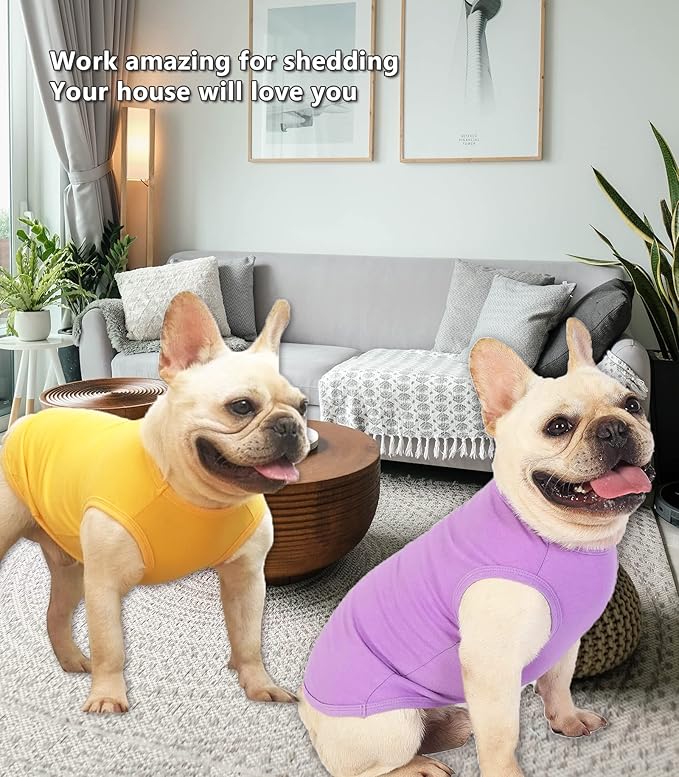 Dog Plain Shirts