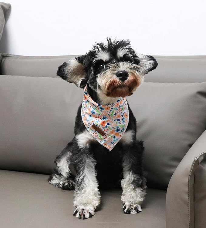 Unique Style Paws Cotton Dog Collar with Bow