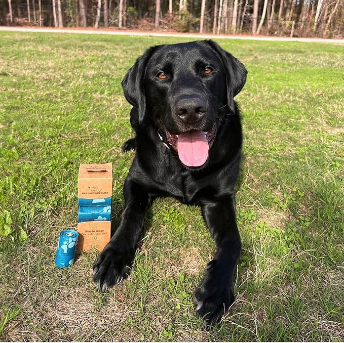 Best Pet Supplies Dog Poop Bags (150 Bags) for Waste Refuse Cleanup