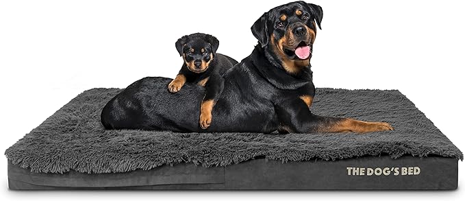 The Dog’s Bed Orthopedic Memory Foam Dog Bed 54x36, Pain