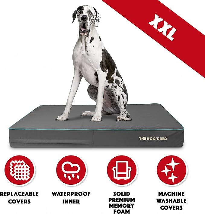 The Dog’s Bed Orthopedic Memory Foam Dog Bed 54x36, Pain