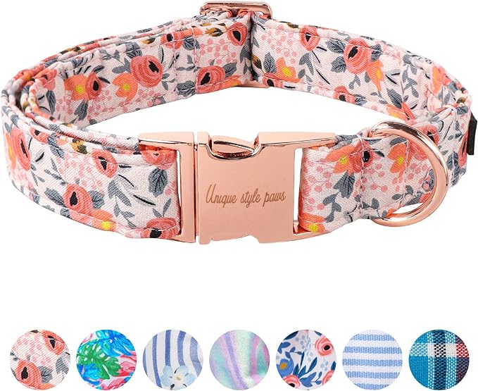Unique style paws Dog Collar Metal Buckle Collar