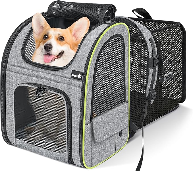 Pecute Pet Carrier Backpack, Large Cat Carrier Backpack, Expandable Cat Backpack with Breathable Mesh for Medium Large Cats, and Small Dogs, Dog Backpack Carrier for Travel Hiking