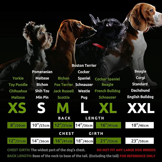 Fitwarm Tropical Dog Dress