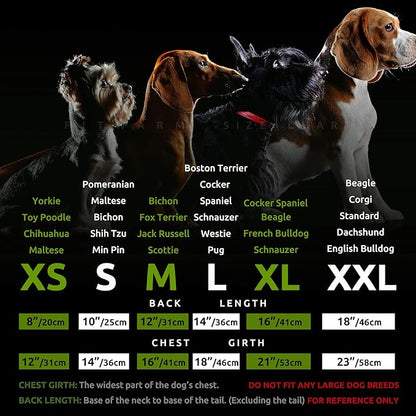 Fitwarm Tropical Dog Dress