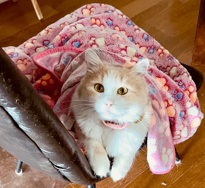 Pet Blankets The Value Pack: 3 Cozy Blankets for All Indoor Pets