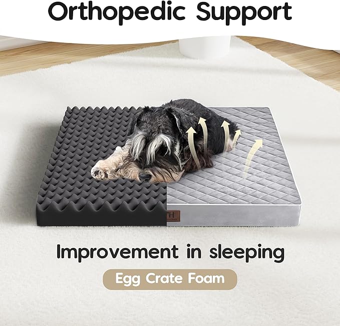 Orthopedic Dog Beds for Small Dogs with Removable Washable Cover 22 inch,