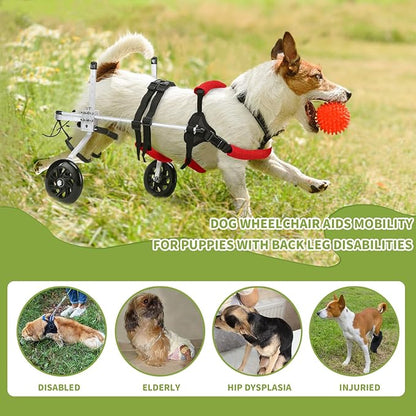 Dog/Cat Wheelchair for Back Legs