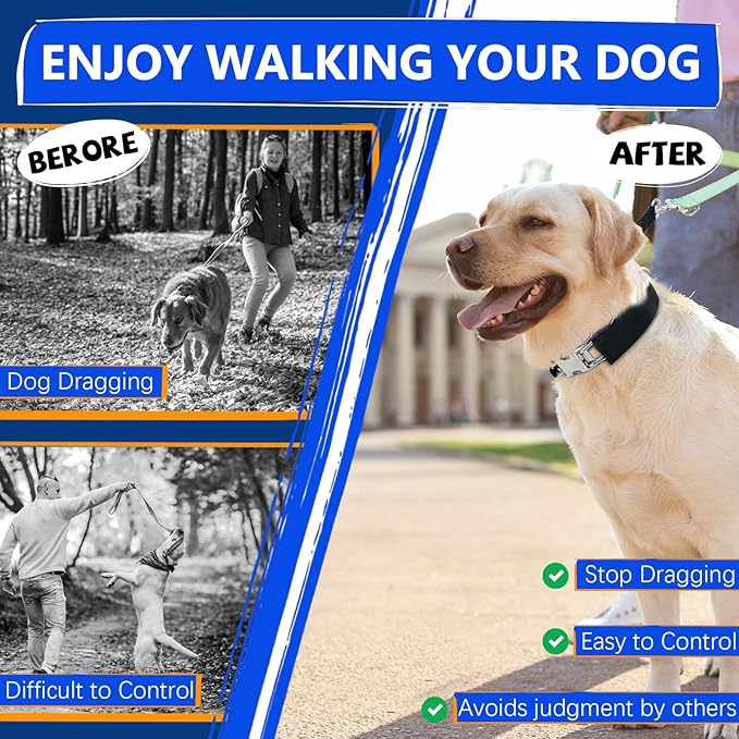 Adjustable Buckle Dog Training Collar for Large Medium Small Dogs