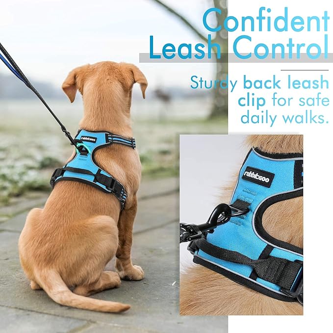 rabbitgoo Dog Harness, No-Pull Pet Harness with 2 Leash Clips, Adjustable Soft Padded Dog Vest, Reflective No-Choke Pet Oxford Vest with Easy Control Handle for Large Dogs, Blue, L