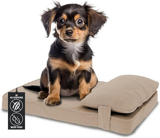 24"x 18" x 6" Washable Dog Bed with Square Pillow and Waterproof Cover, High Density Foam Scratch Proof Small Dog Bed with Orthopedic Support, Ultrasoft Breathable Pet Bed, Camel