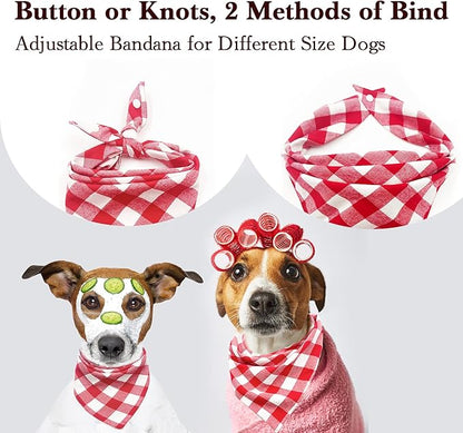 Birthday Plaid Dog Bandana with Button