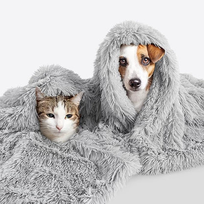 LOCHAS Luxury Fluffy Dog Blanket 30''x40'' Light