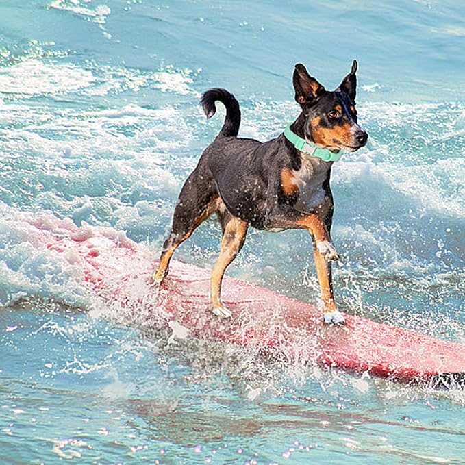 Waterproof Dog Collar Soft Rubber Dog Collar