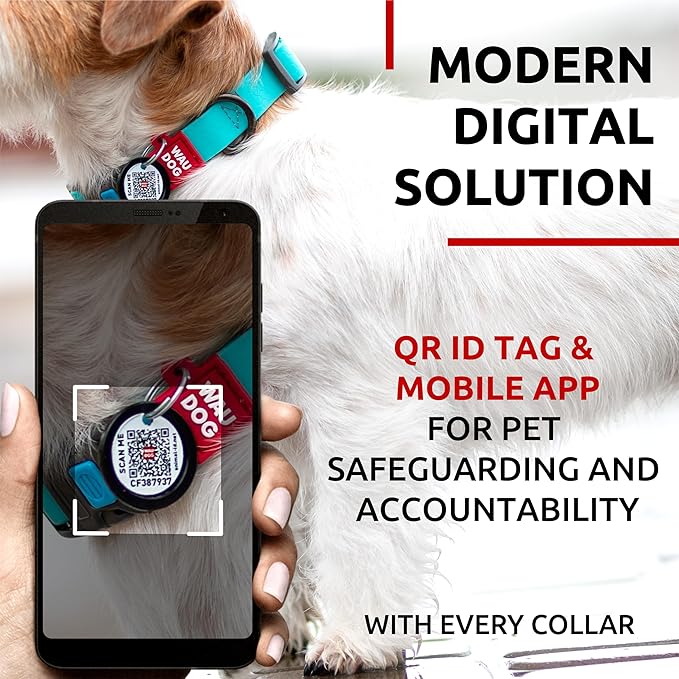 Waterproof Dog Collar (9 3/4" 13 3/4"