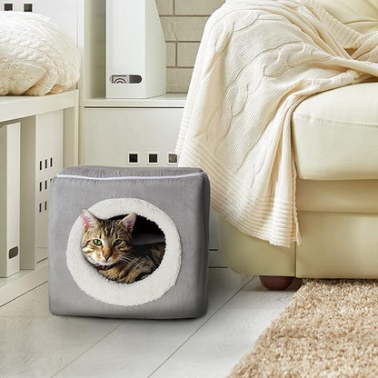 Cat House